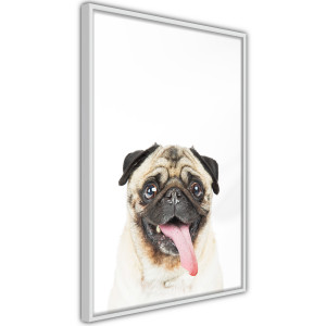 Plakát - Funny Pug