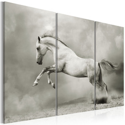 Kép - A white horse in motion