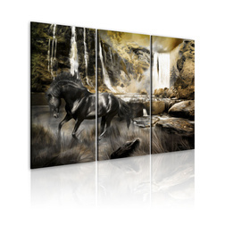 Kép - Black horse and rocky waterfall