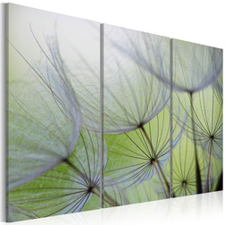 Kép - Dandelions on the meadow