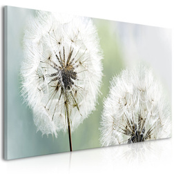 Kép - Fluffy Dandelions (1 Part) Green Wide