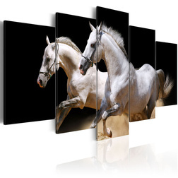 Kép - Gallop- freedom and power