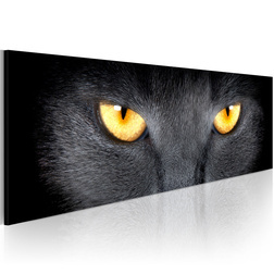 Kép - Look into my eyes...