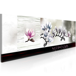 Kép - Magnolia ébredés