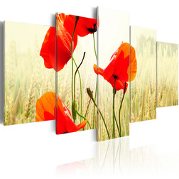 Kép - Nature and red poppies