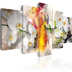 Kép - Orchid And Colors