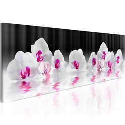 Kép - Orchids In Water