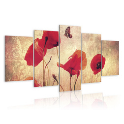 Kép - Poppy and butterfly