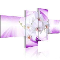 Kép - The delicacy of orchid flowers on a violet background