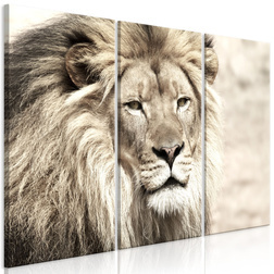 Kép - The King of Beasts (3 Parts) Beige