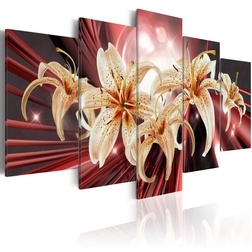 Kép - The Magic of Passion