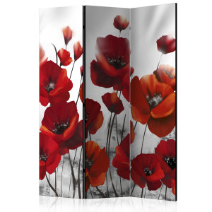 Paraván - Poppies in the Moonlight [Room Dividers]