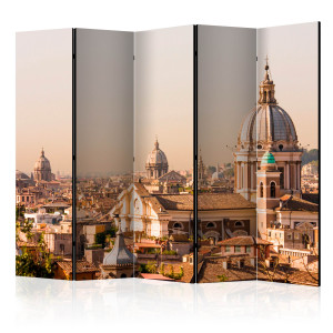 Paraván - Rome - bird's eye view II [Room Dividers]