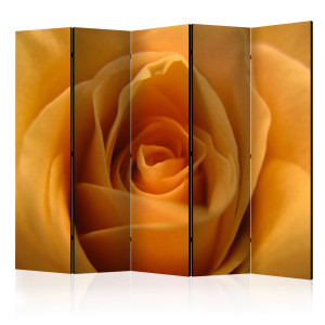 Paraván - Yellow rose – a symbol of friendship II [Room Dividers]