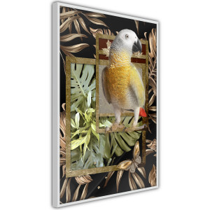 Plakát - Composition with Gold Parrot