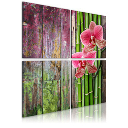 Kép - Bamboo and orchid