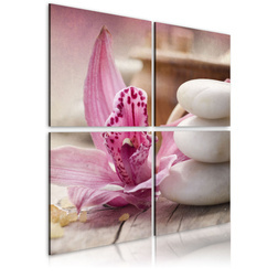 Kép - Orchid and zen