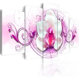 Kép - Orchid - pink expression