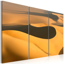 Kép - The endless sand of a desert