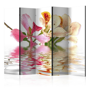 Paraván - Tropical flowers - orchid tree (bauhinia) II [Room Dividers]