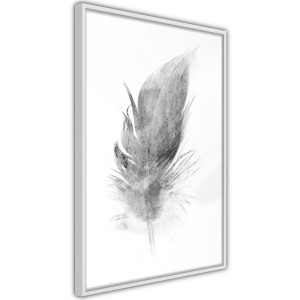 Plakát - Lost Feather (Grey)