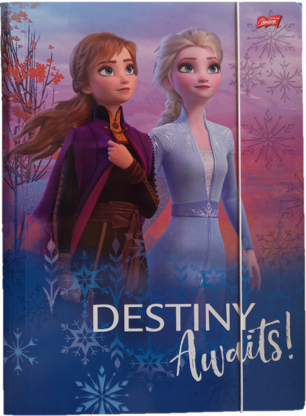 Mapa cu Elastic A4, St.Majewski, Frozen 2