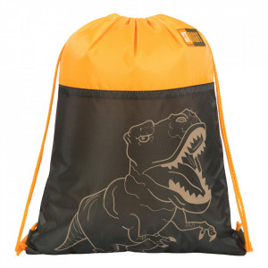 Sac Sport, Colectia St Right - T-Rex Junior, SO01 43x34cm