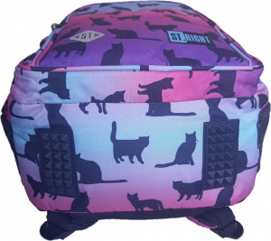 Ghiozdan Scolar 4 Compartimente, St.Majewski, Maner si Spate Ergonomic, Impermeabil, Elemente Reflectorizante, Colectia St.Right - Night Cats BP58, 40x28x18cm