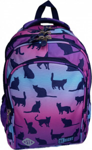 Ghiozdan Scolar 4 Compartimente, St.Majewski, Maner si Spate Ergonomic, Impermeabil, Elemente Reflectorizante, Colectia St.Right - Night Cats BP58, 40x28x18cm