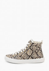 Guess Snake Lace