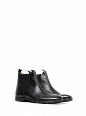 Hudson Amerstone Calf