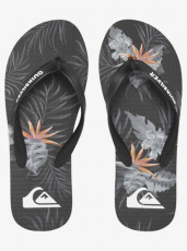 QuikSilver Slippers 17
