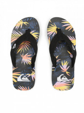 QuikSilver Slippers 08