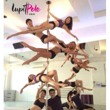 PALO LUPIT POLE PRO rimovibile Inox 45 pezzo unico