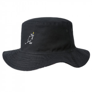 Palarie Kangol Comet Reversible Bucket