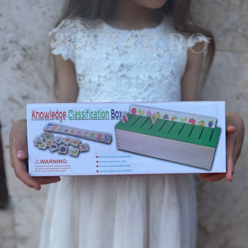 Joc educative din lemn, sortare si asociere, invatare Montessori, engleza, ISAHAR