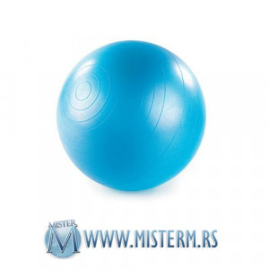 CAPRIOLO Pilates lopta 65cm 291358 (RATA 12 x 107 RSD )