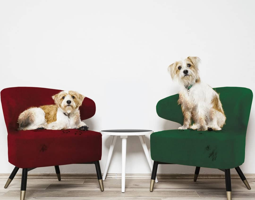 Pet-friendly mebl štofovi