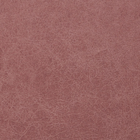 Cowboy Coral