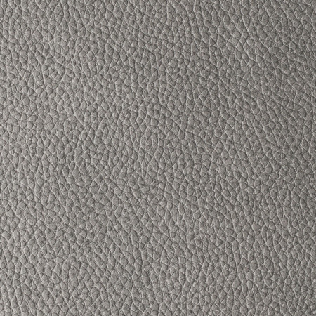 Pacifico Ash