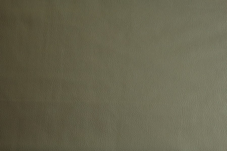 eko koža novella