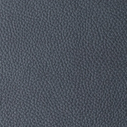 Pacifico Ocean
