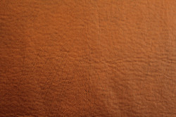 Polo 8