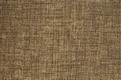 Tako Dk.Brown