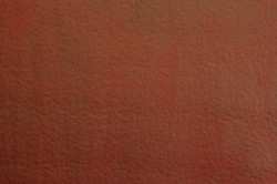 Polo 9