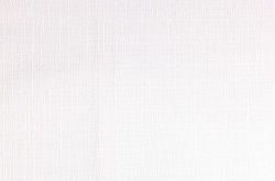 Sx 48- 1 White