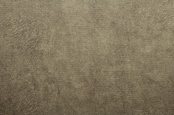 Wr Grey