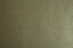 Meyris 604