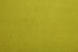 Petra Pistachio