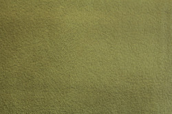 Polo 10